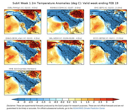 SubX and Polar Vortex